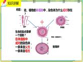 20.2《性状遗传的物质基础》课件