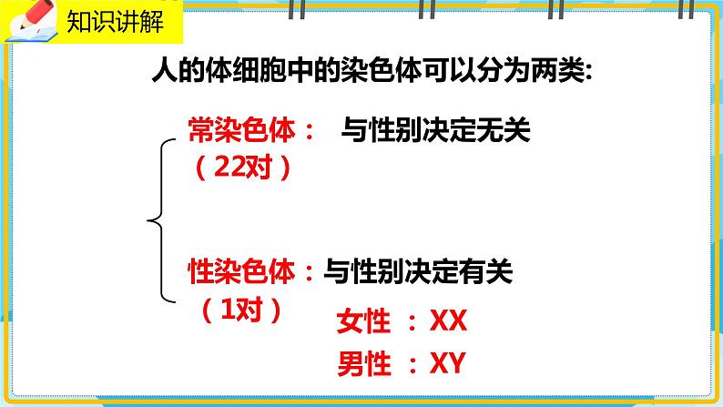 20.4《性别和性别决定》课件05