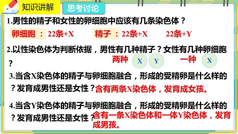 20.4《性别和性别决定》课件06