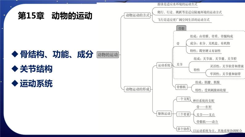 八上期末复习（BSD）课件PPT02