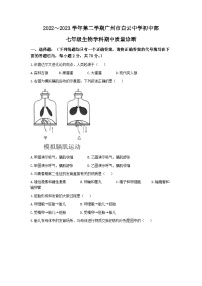 广东省广州市白云中学2022-2023学年七年级下学期期中生物试题(无答案)