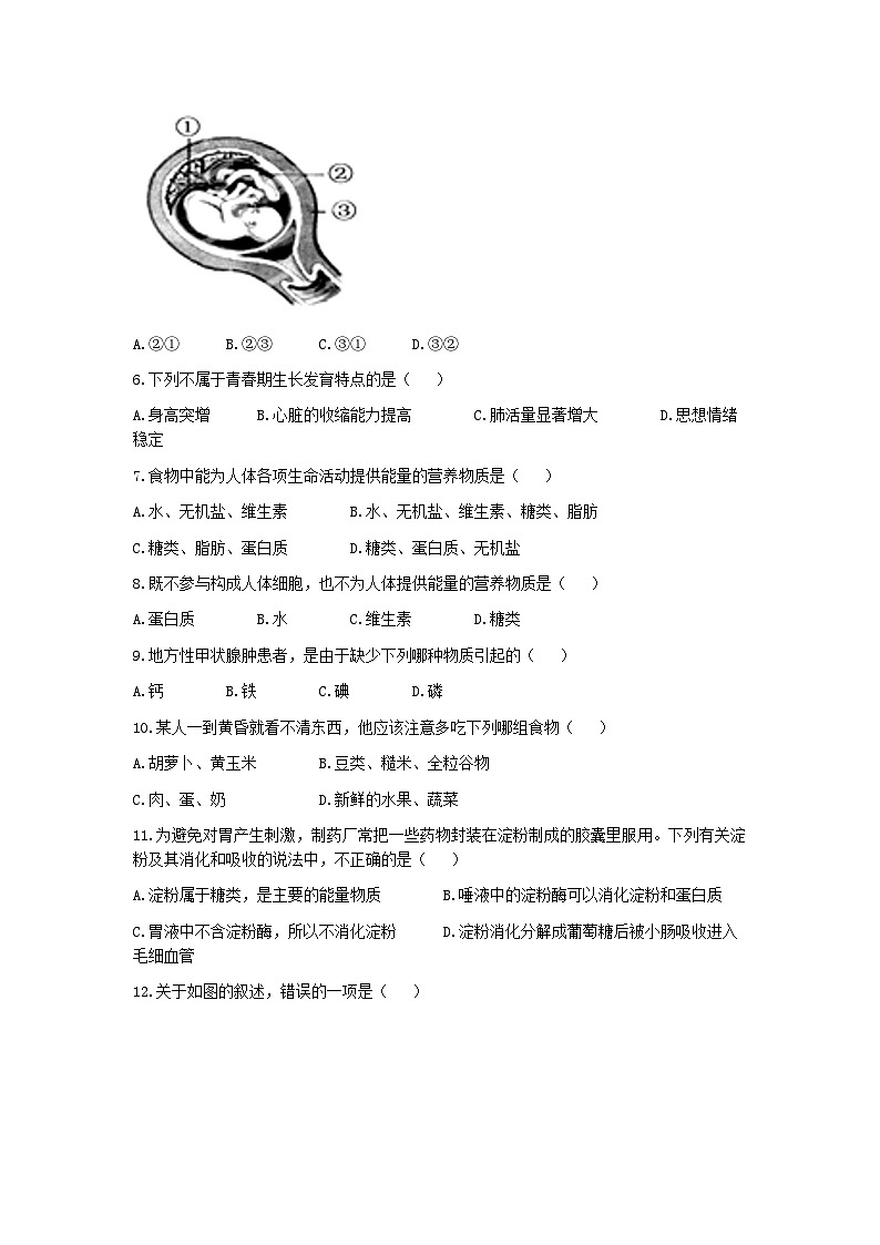 广东省广州市白云中学2022-2023学年七年级下学期期中生物试题(无答案)第2页