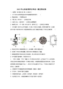 2023年山东省菏泽市单县一模生物试卷（含解析）