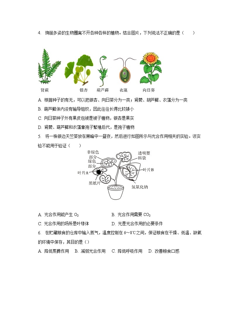 2023年山东省菏泽市单县一模生物试卷（含解析）02