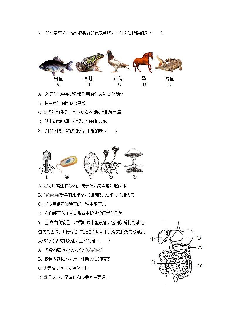 2023年山东省菏泽市单县一模生物试卷（含解析）03