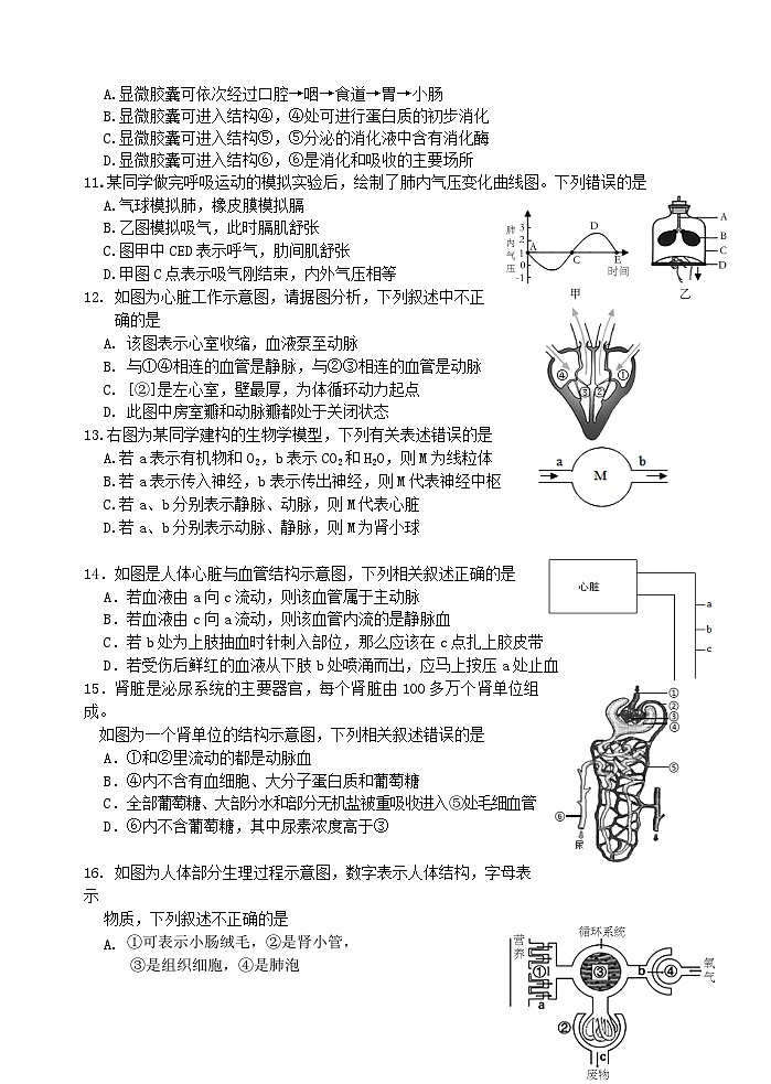 2023年山东省临沂市郯城县初中学业水平测试模拟生物试题（四）(含答案)03