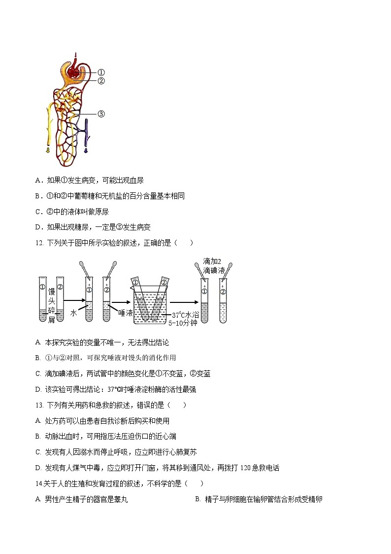 生物（广东卷）-学易金卷：中考第一次模拟考试卷03