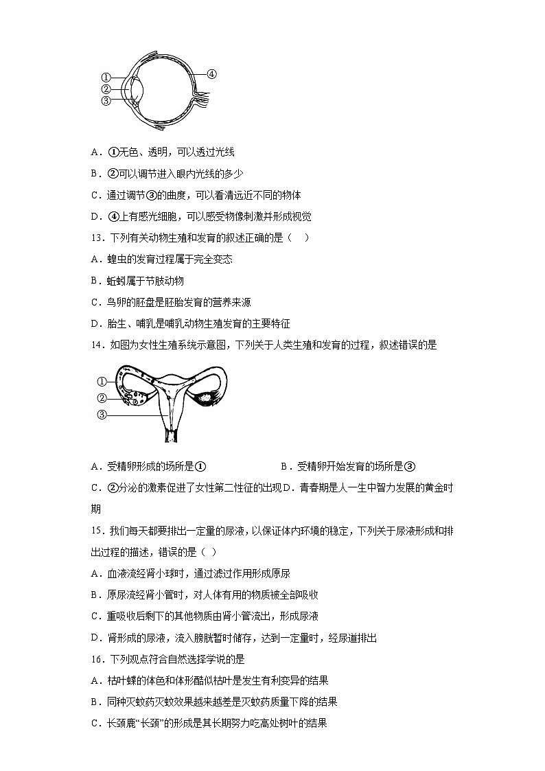 2023年山东省菏泽市鄄城县中考三模生物试题(含答案)03