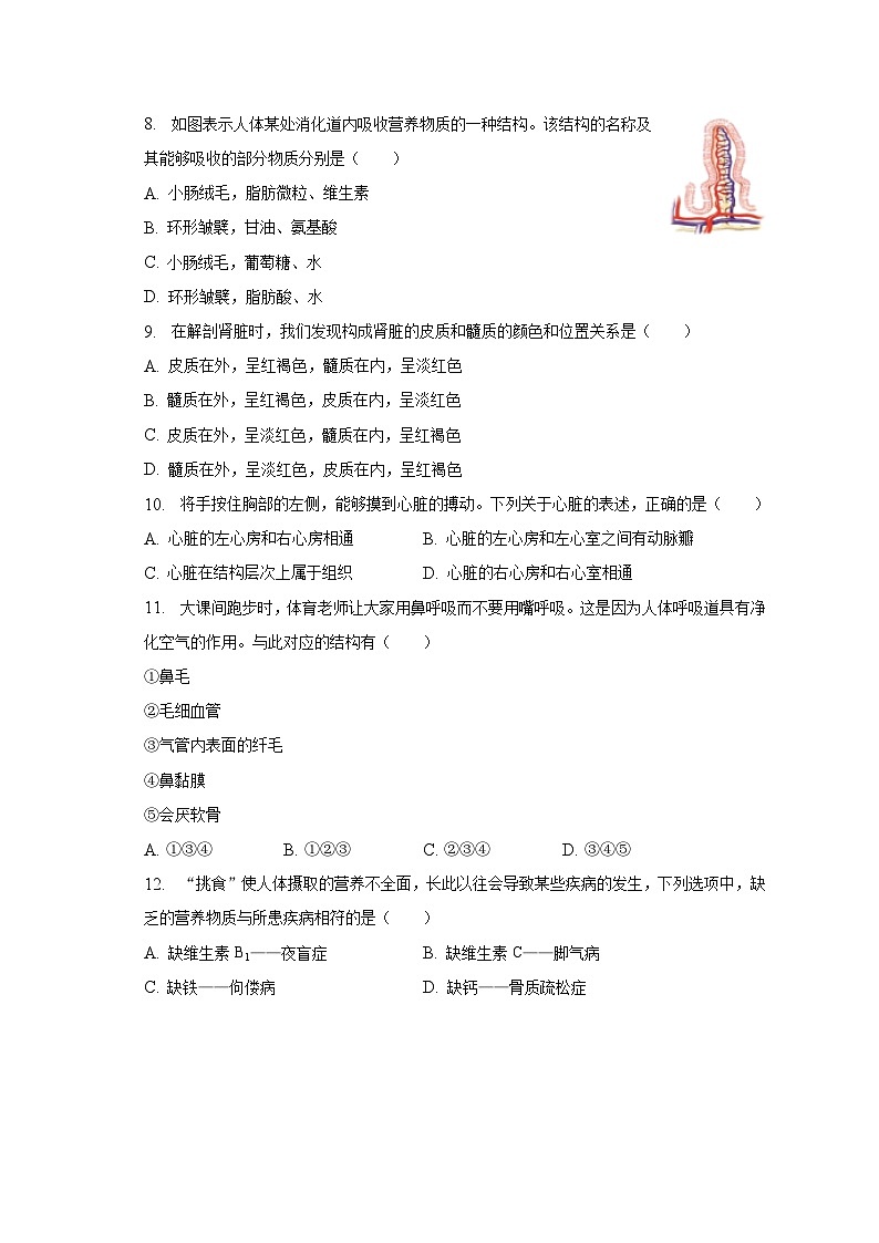 2022-2023学年广西防城港市防城区七年级（下）期中生物试卷（含解析）02