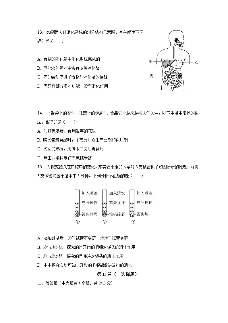 2022-2023学年广西防城港市防城区七年级（下）期中生物试卷（含解析）03