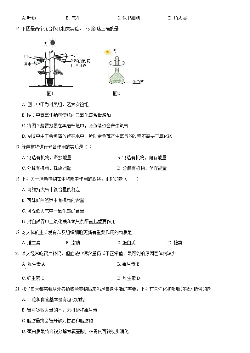 2021北京大兴初一（上）期末生物（教师版）第3页