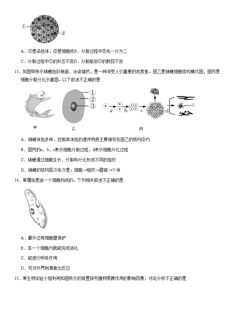 2021北京燕山初一（上）期末生物（教师版）第3页