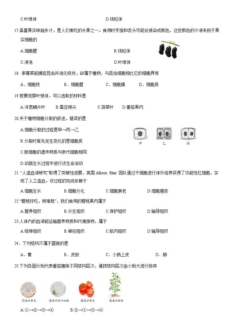 2021北京理工附中初一（上）期中生物（教师版） 试卷03