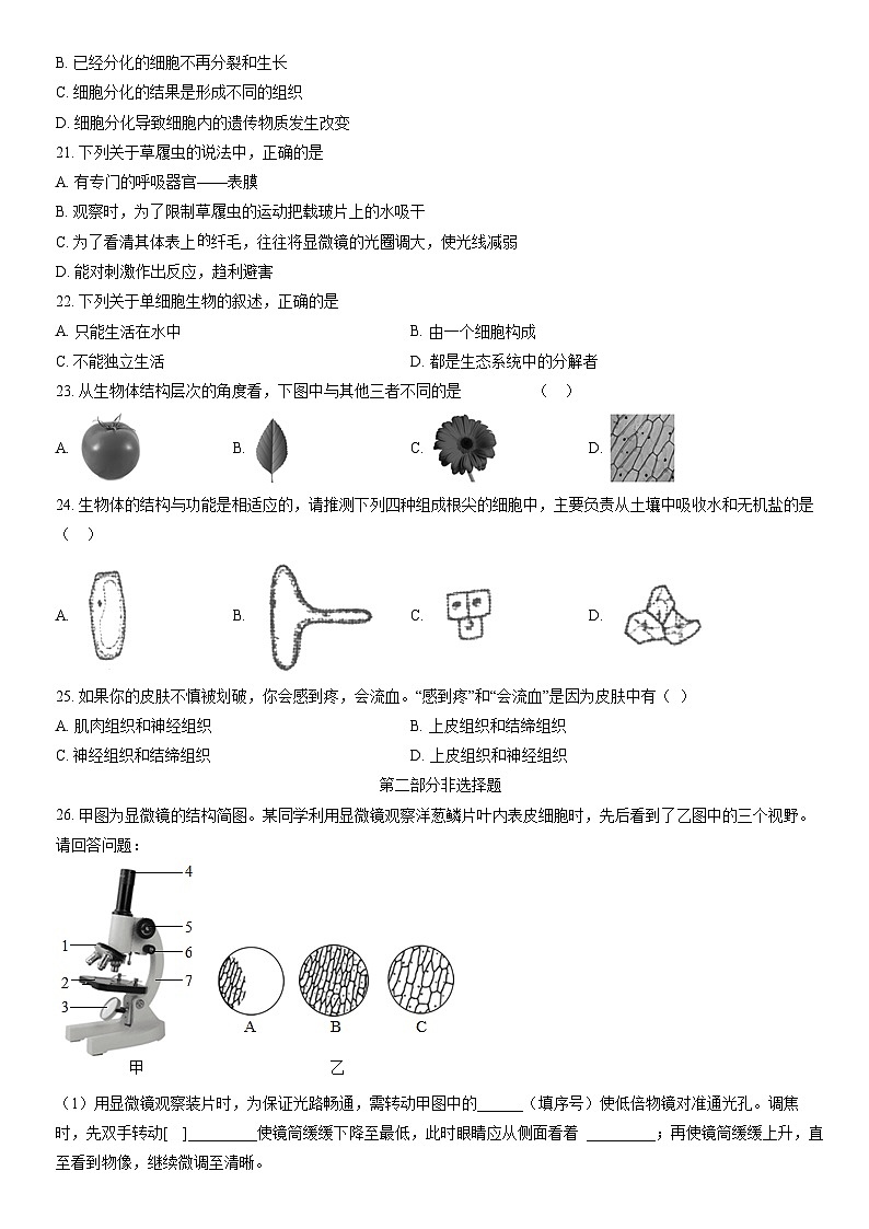 2021北京牛栏山一中实验学校初一（上）期中生物（教师版） 试卷03