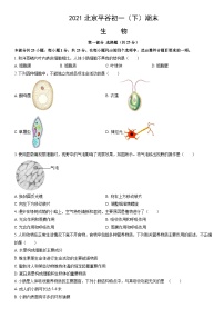 2021北京平谷初一（下）期末生物（教师版）