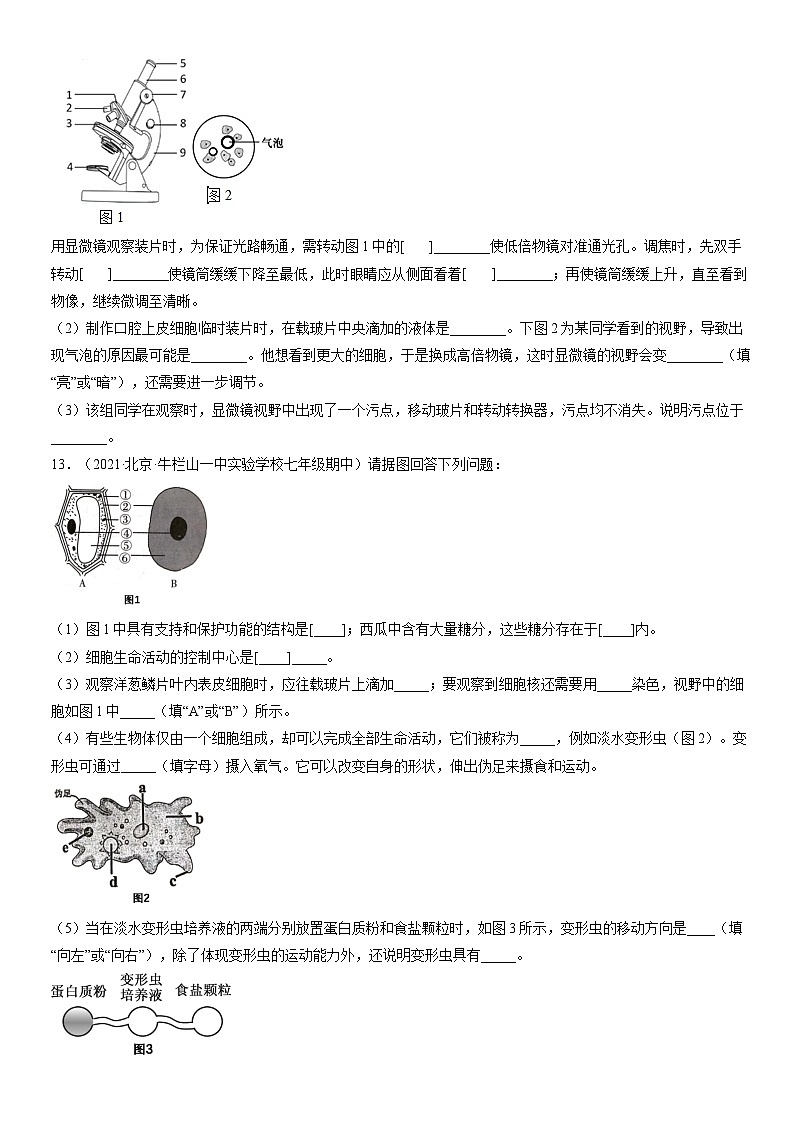 2017-2021北京重点校初一（上）期中生物汇编：动物细胞 试卷03