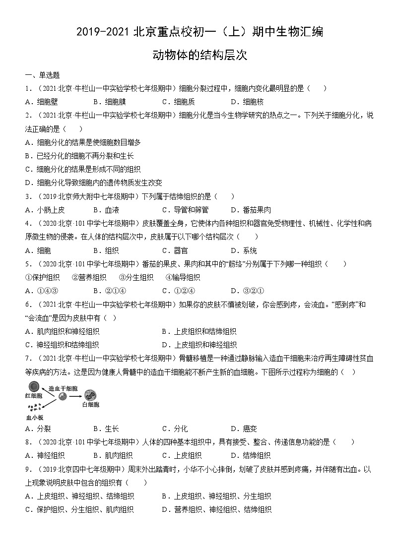 2019-2021北京重点校初一（上）期中生物汇编：动物体的结构层次 试卷01