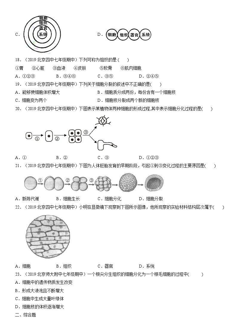 2019-2021北京重点校初一（上）期中生物汇编：细胞怎样构成生物体 试卷03