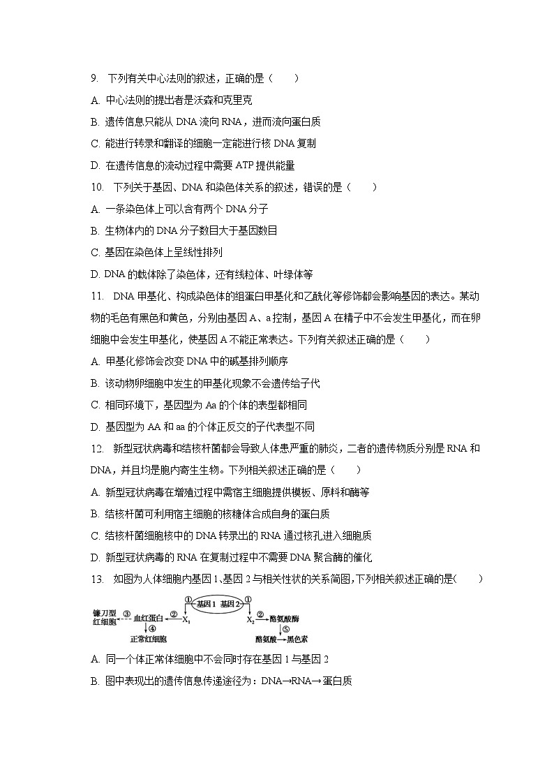 2022-2023学年河南省洛阳市强基联盟高一（下）联考生物试卷（5月份）（含解析）第3页