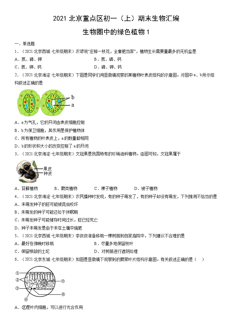 2021北京重点区初一（上）期末生物汇编：生物圈中的绿色植物1 试卷01