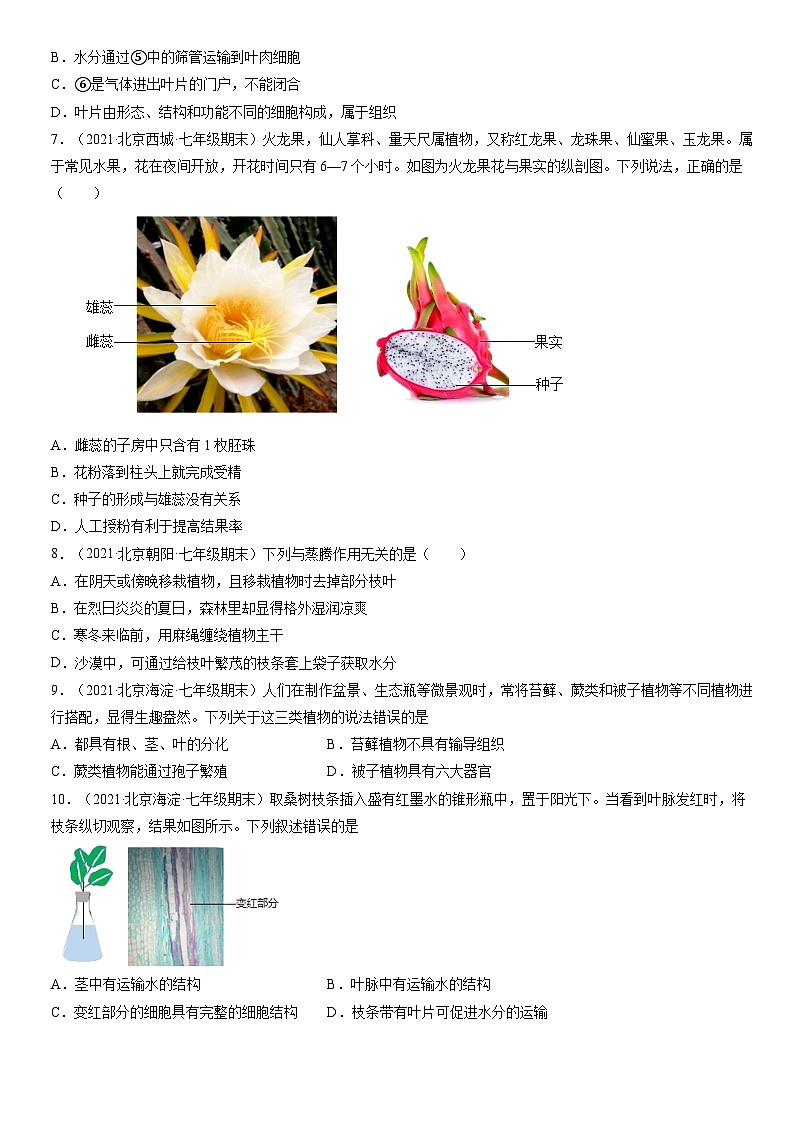 2021北京重点区初一（上）期末生物汇编：生物圈中的绿色植物1 试卷02