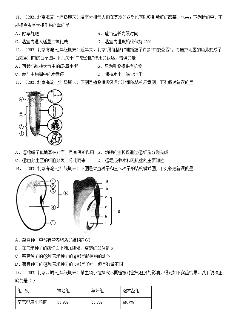 2021北京重点区初一（上）期末生物汇编：生物圈中的绿色植物1 试卷03