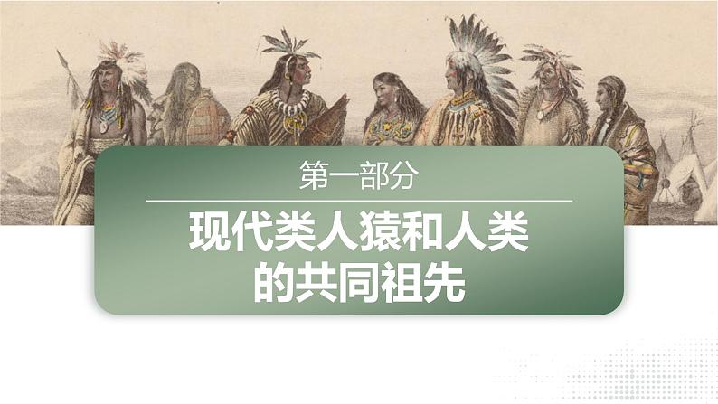 4.1.1《人的起源和发展》课件+素材04