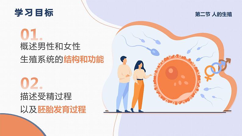 4.1.2《人的生殖》课件+素材03