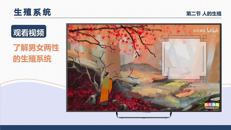 4.1.2《人的生殖》课件+素材05