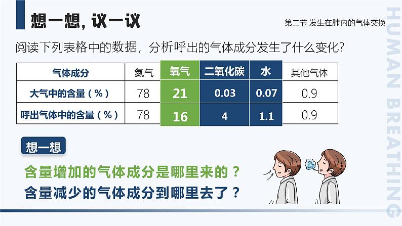 4.3.2《发生在肺内的气体交换》课件+素材03