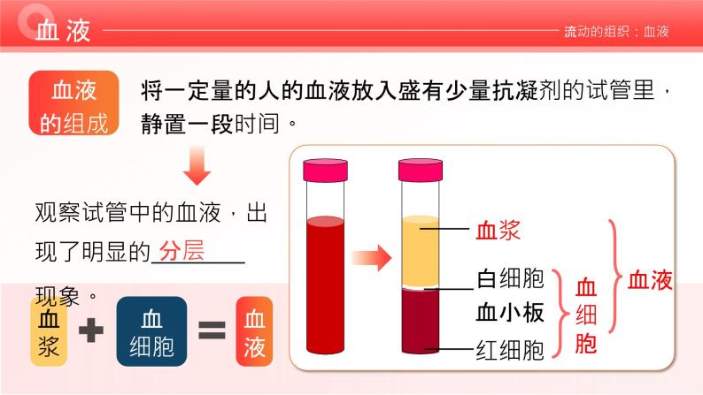 4.4.1《流动的组织—血液》课件+素材05