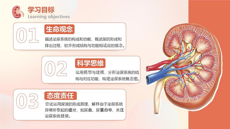 4.5《人体内废物的排出》课件03