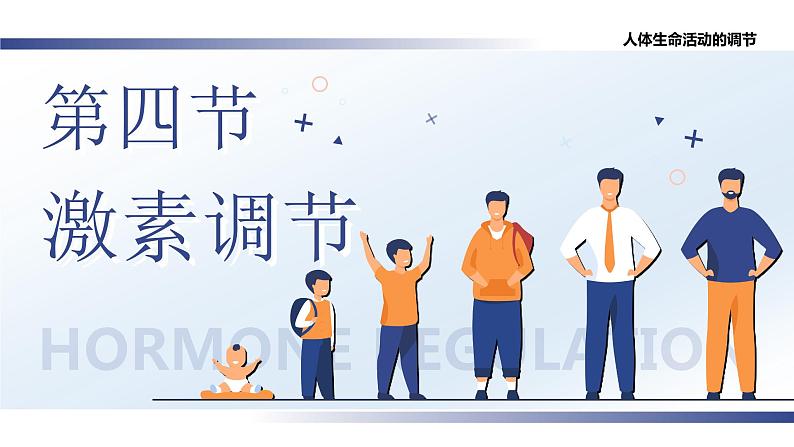 4.6.4《激素调节》课件+素材01