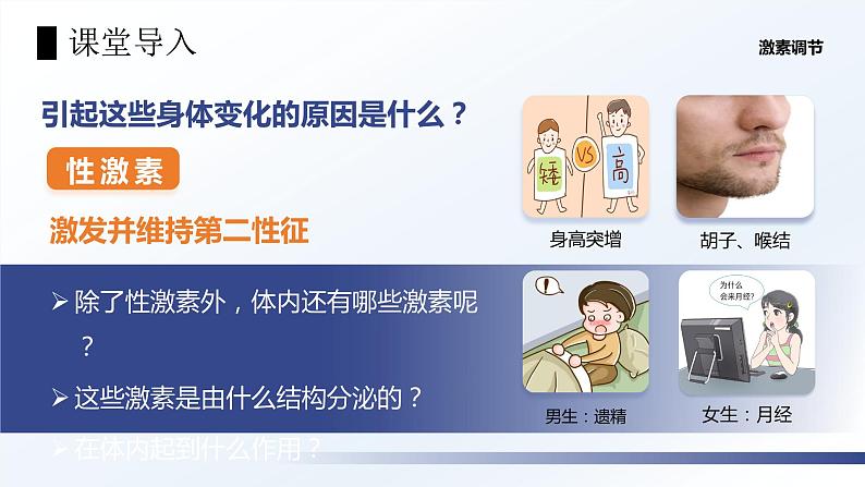 4.6.4《激素调节》课件+素材05