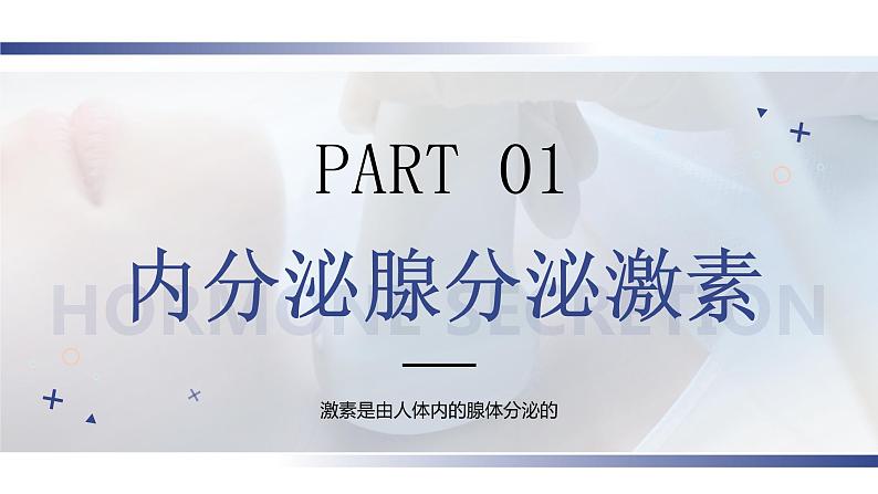 4.6.4《激素调节》课件+素材06