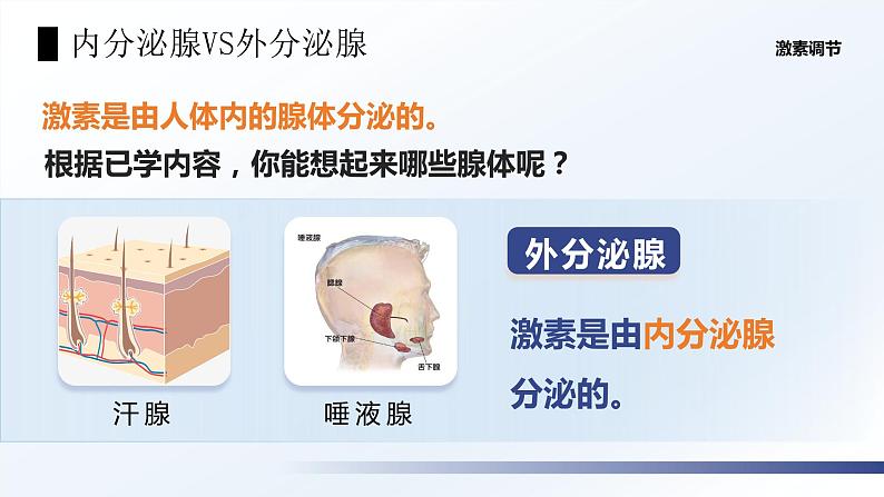 4.6.4《激素调节》课件+素材07