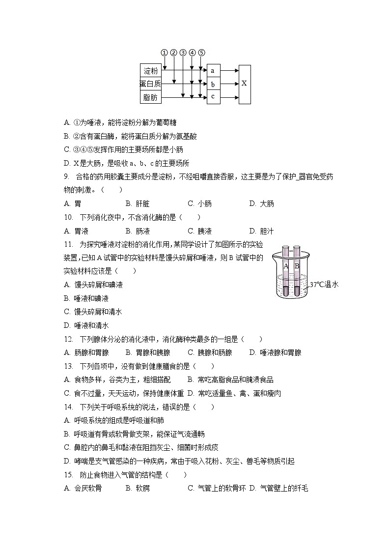 2022-2023学年山东省泰安市泰山博文中学七年级（下）开学生物试卷（五四学制）（含解析）第2页