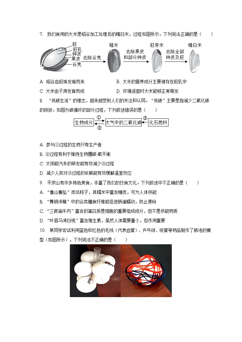 2023年河南省平顶山市一模生物试卷（含解析）第3页