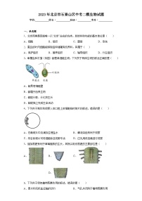 2023年北京市石景山区中考二模生物试题(含答案)