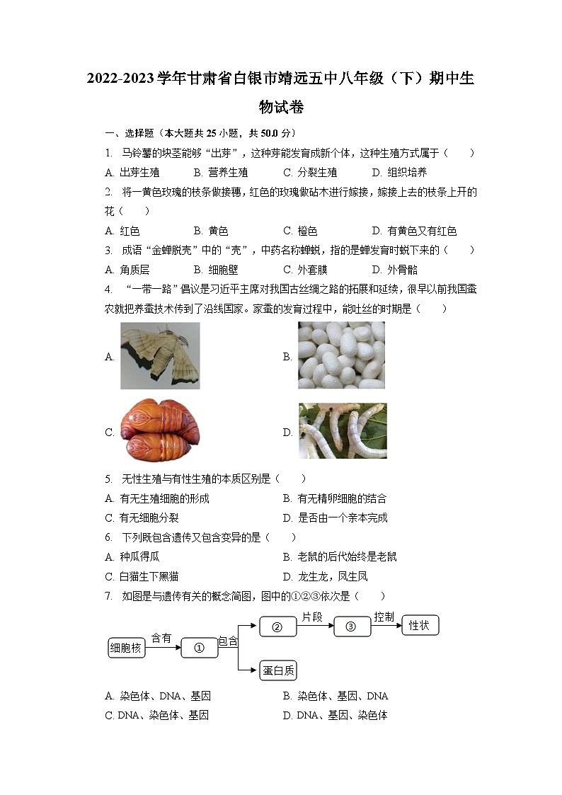 甘肃省白银市靖远县第五中学2022-2023学年八年级下学期期中生物试题01