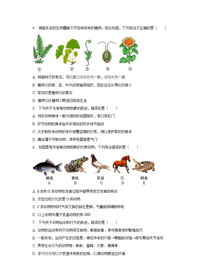 2023年山东省济南市槐荫区中考生物二模试卷（含解析）02
