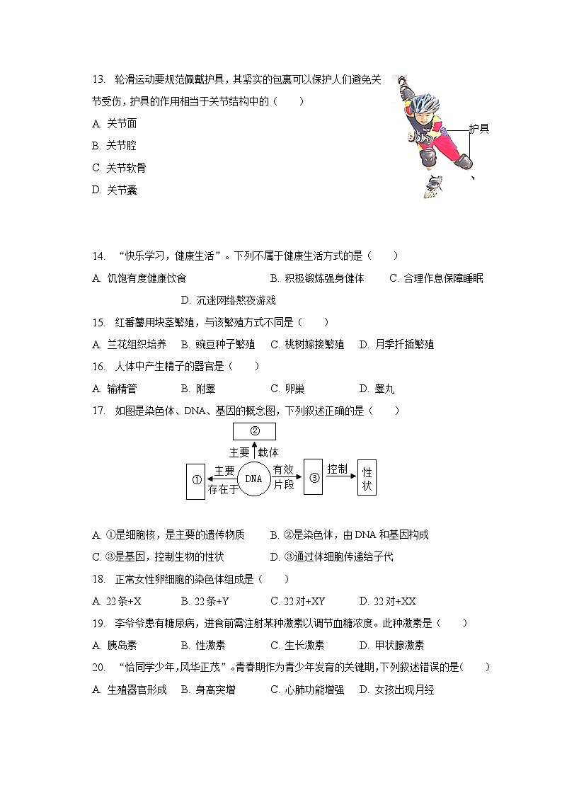 2023年福建省莆田市中考生物二模试卷（含解析）03