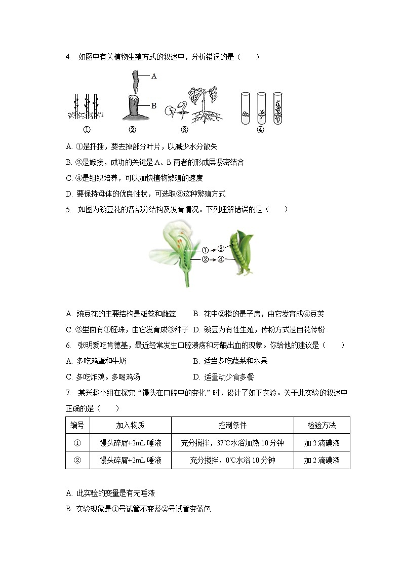 2023年河南省濮阳市中考生物一模试卷（含解析）02