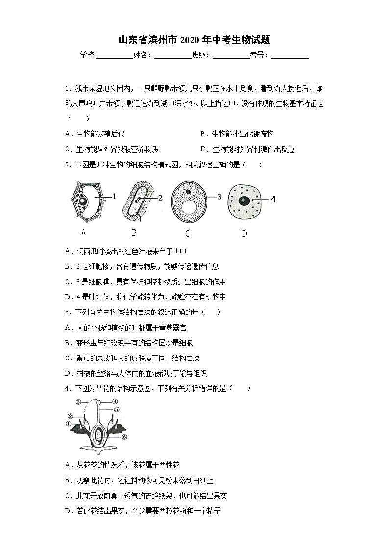 山东省滨州市2020年中考生物试题01