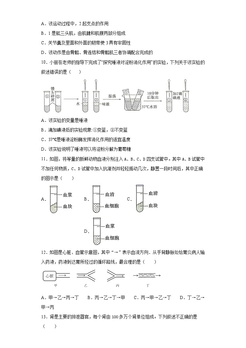 山东省滨州市2020年中考生物试题03