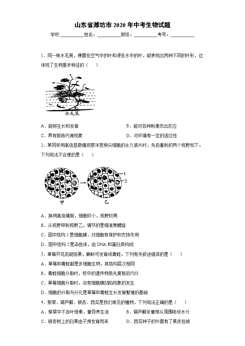 山东省潍坊市2020年中考生物试题01