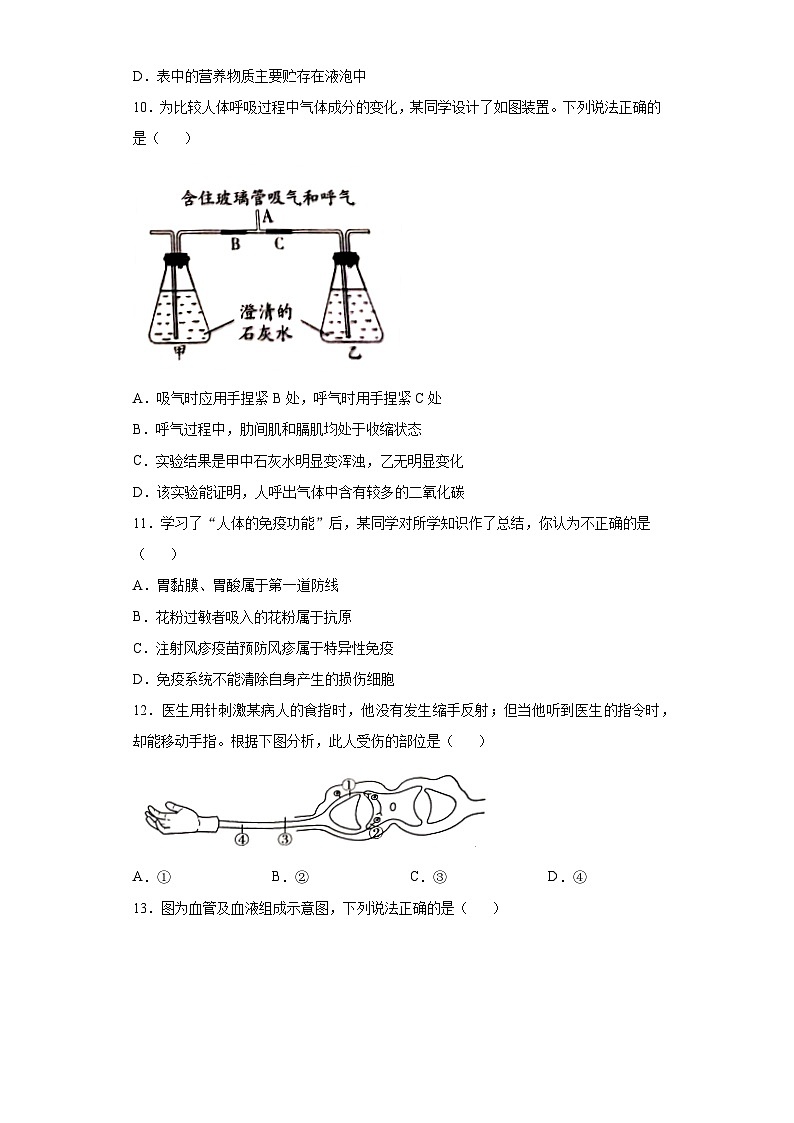 山东省潍坊市2020年中考生物试题03