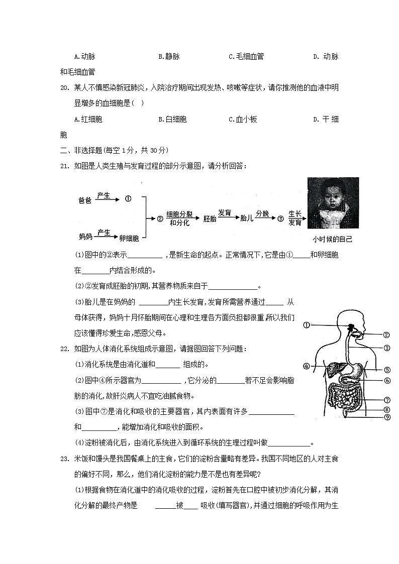 河南省商丘市夏邑县2022-2023学年七年级下学期期中生物试题及参考答案第3页