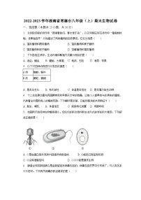 2022-2023学年湖南省常德市八年级（上）期末生物试卷（含解析）