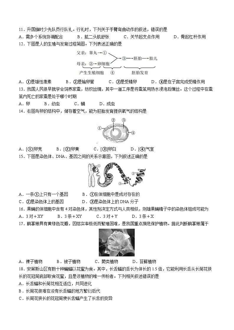 2023年福建省泉州市德化县中考二模生物试题(含答案)第2页